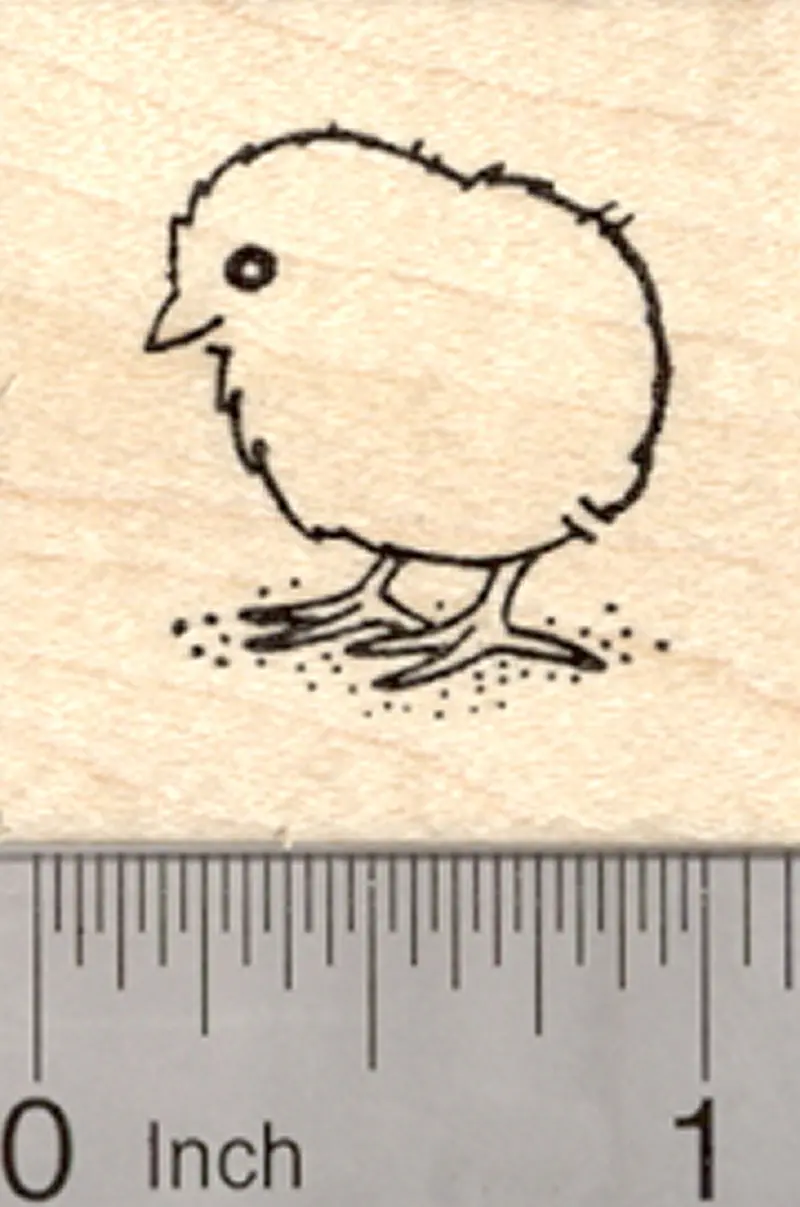 Adorable Easter Chick Rubber Stamp – Newborn Bird Design 1