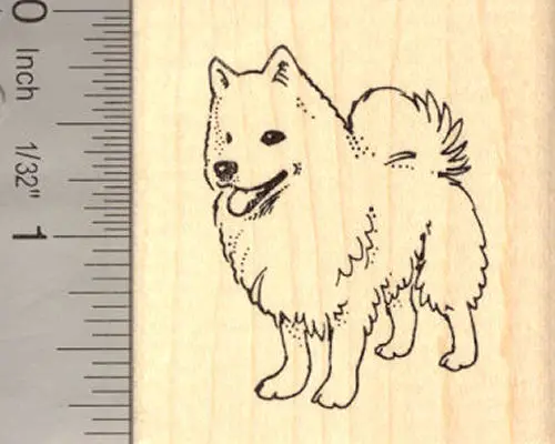 American Eskimo Dog Illustration Rubber Stamp 1