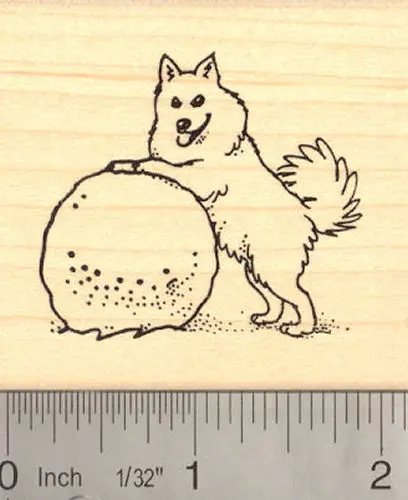 American Eskimo Dog Portrait Rubber Stamp 1