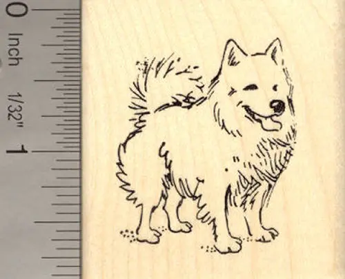 American Eskimo Dog Silhouette Rubber Stamp 1