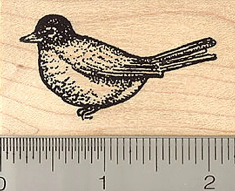 American Robin Bird Rubber Stamp, Migratory Thrush Illustration 1