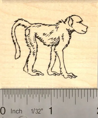 Baboon Monkey Wildlife Rubber Stamp 1