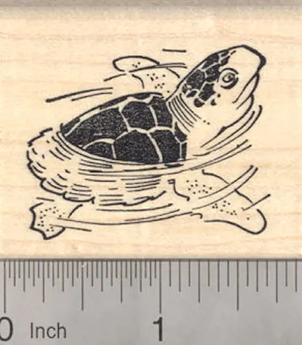 Baby Sea Turtle Rubber Stamp – Tiny Ocean Hatchling Illustration 1
