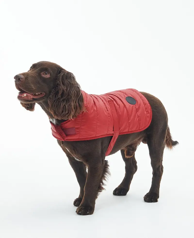 Barbour Baffle-Quilted Dog Coat In Wine Red 1