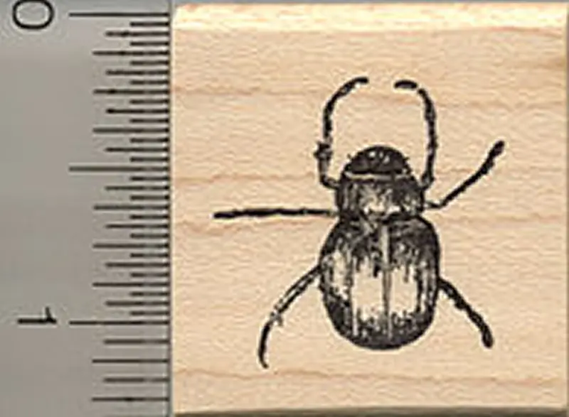 Beetle Rubber Stamp – Intricate Insect Illustration For Nature Projects 1