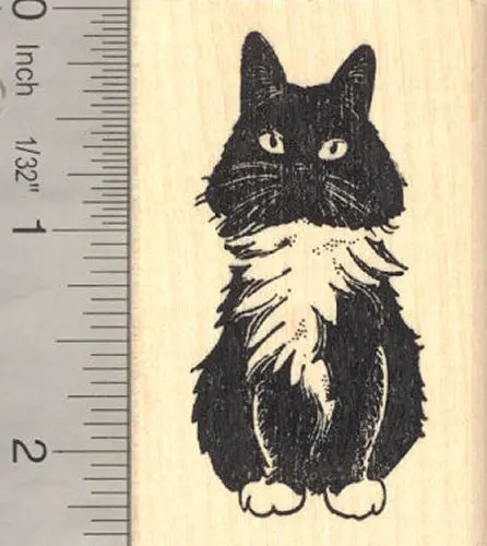 Black And White Domestic Longhair Cat Rubber Stamp 1