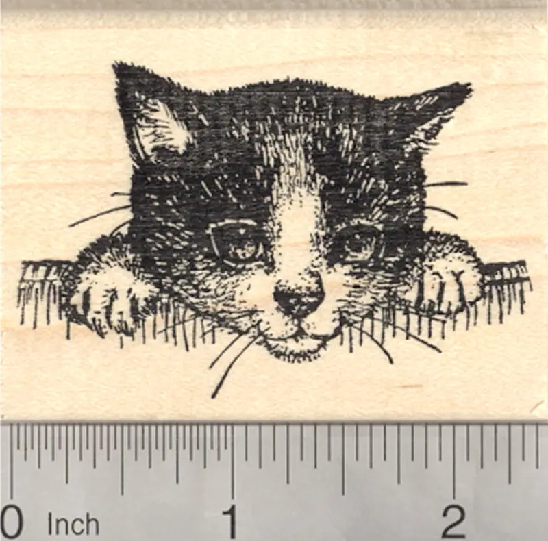 Black-And-White Kitten Rubber Stamp – Minimalist Monochrome Portrait 1