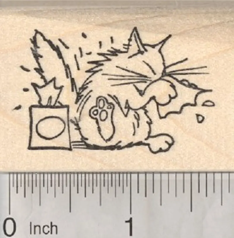 Caring Cat Get Well Rubber Stamp With Tissues Illustration 1