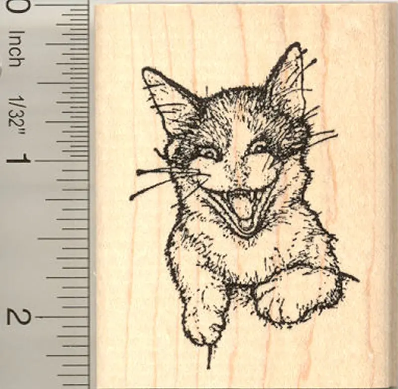 ‘Cattitude’ Einstein-Themed Cat Rubber Stamp, Humorous Feline Art 1