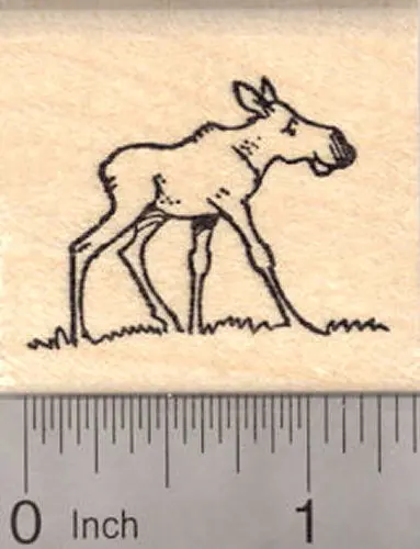 Cute Moose Calf Rubber Stamp – Small Wildlife Illustration 1