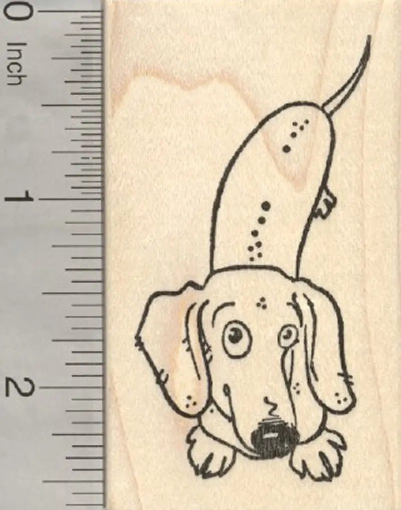 Dachshund Dog Rubber Stamp: Long & Lovable Canine Design 1