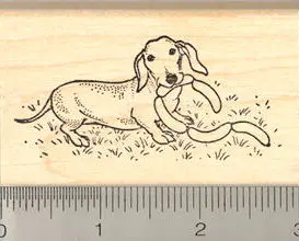 Dachshund-Themed Weiner Dog Rubber Stamp 1