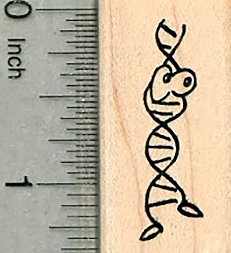 Dna Helix Rubber Stamp With Expressive Face For Biology Enthusiasts 1