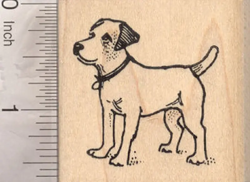 Dynamic Jack Russell Terrier Action Pose Rubber Stamp 1