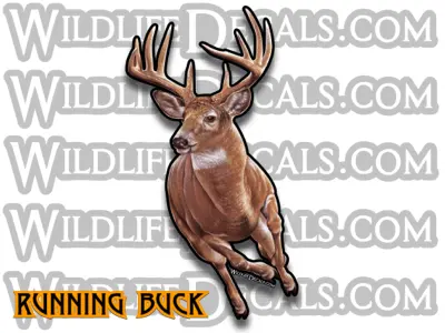 Dynamic Running Whitetail Deer Decal – Weather-Resistant Vinyl 1