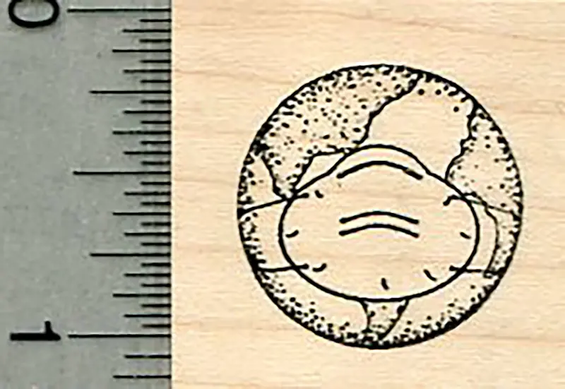 Earth Globe Rubber Stamp With Stylish Face Mask Design 1