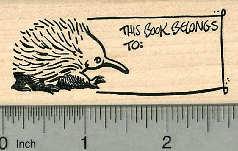 Echidna Bookplate Rubber Stamp – Pre-Printed 'This Book' Line (Non-Customizable) 1