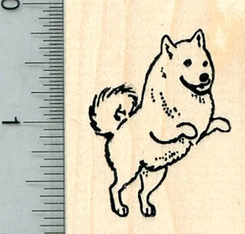 Eskimo Dog Rubber Stamp – Standing Arctic Breed Illustration 1