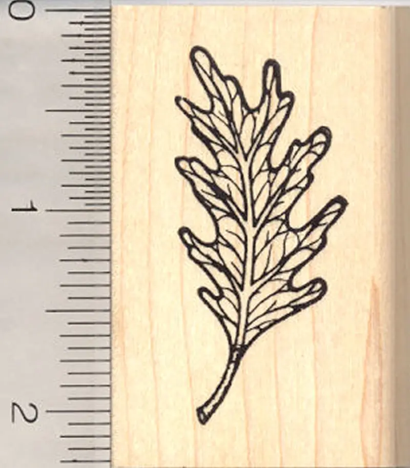 Falling Oak Leaf Rubber Stamp – Natural Autumn Motif For Seasonal And Botanical Designs 1