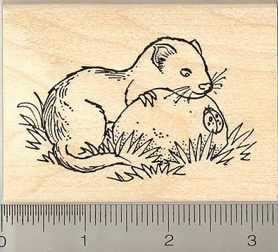 Ferret And Ladybug Illustration Rubber Stamp 1