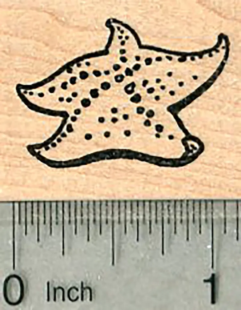 Five-Armed Starfish Rubber Stamp – Classic Sea Star Illustration 1