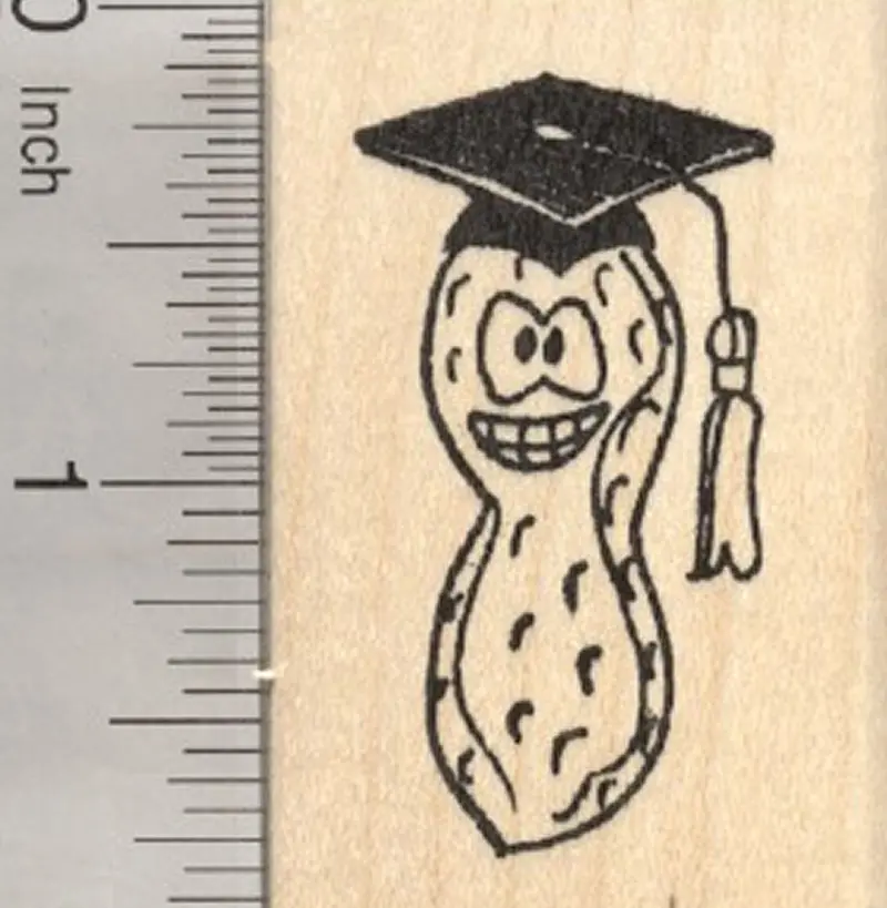 Graduation Peanut Theme Rubber Stamp – Celebratory Design 1