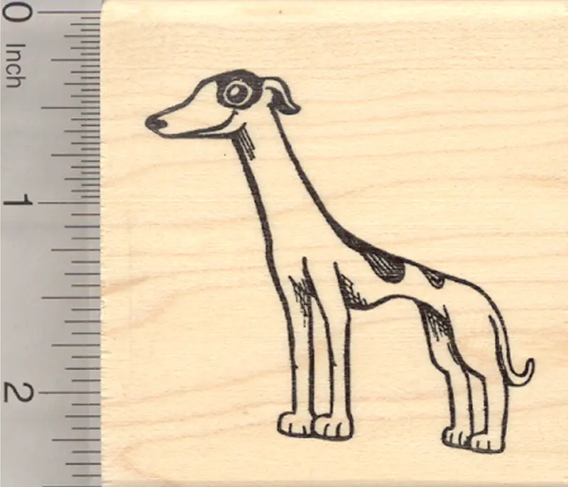 Greyhound Breed Rubber Stamp – Sleek, Detailed Canine Illustration 1