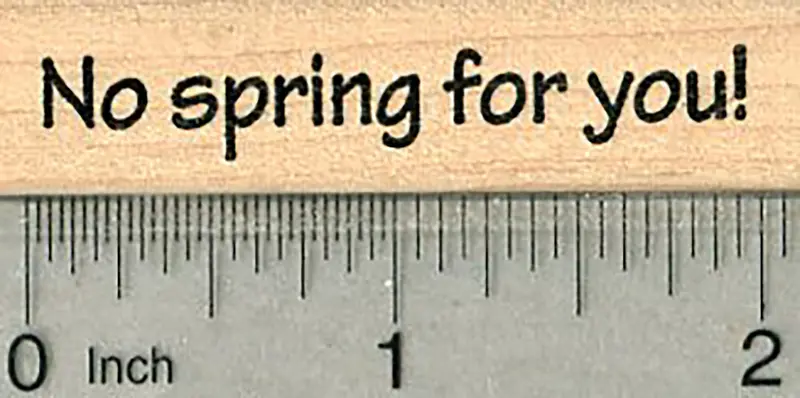 Groundhog Day Rubber Stamp – ‘No Spring For You’ 1