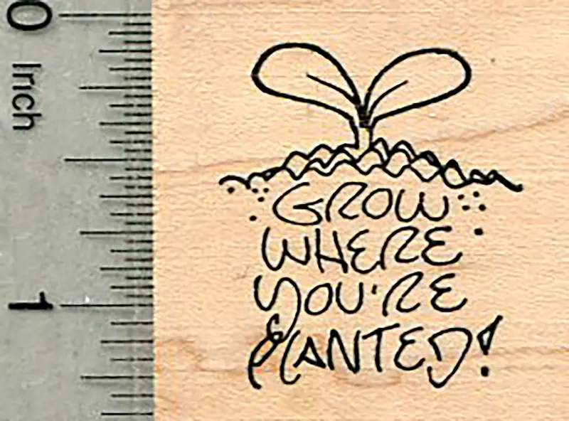 'Grow Where You'Re Planted' Sprout Rubber Stamp – Uplifting Garden Motto 1