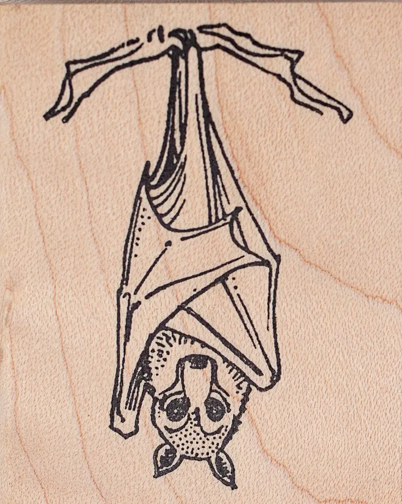 Hanging Flying Fox Rubber Stamp – Bat Illustration 1