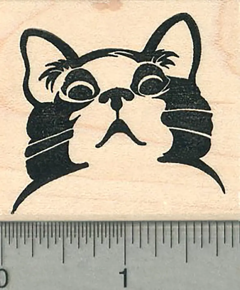 Humorous Appalled Cat Rubber Stamp – Disapproving Expression 1