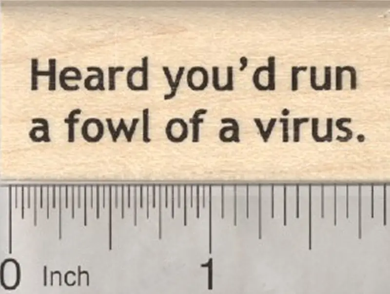 Humorous Get Well Bird Rubber Stamp: 'Heard You'D Run A Fowl' 1