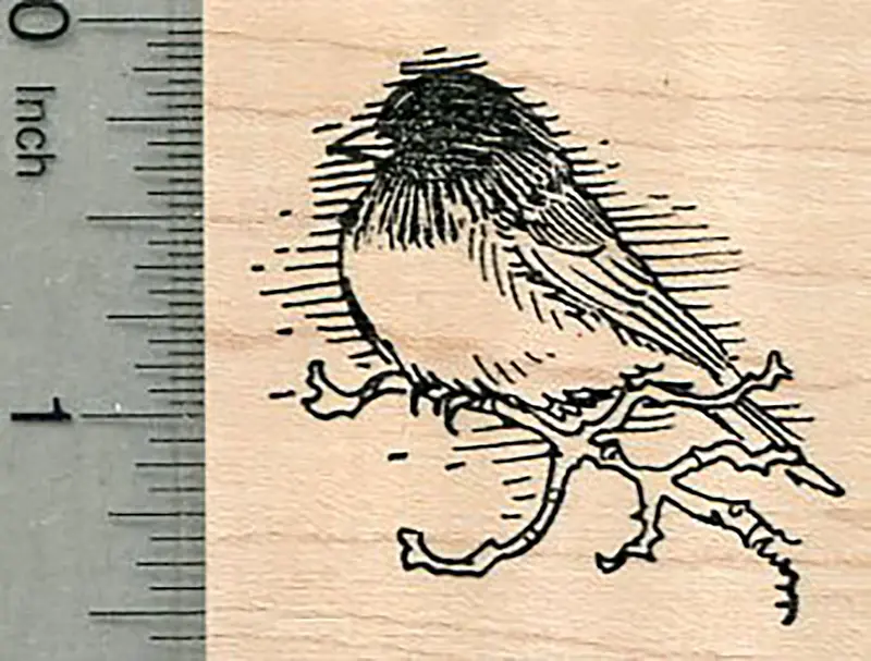 Junco Bird Wildlife-Themed Rubber Stamp 1
