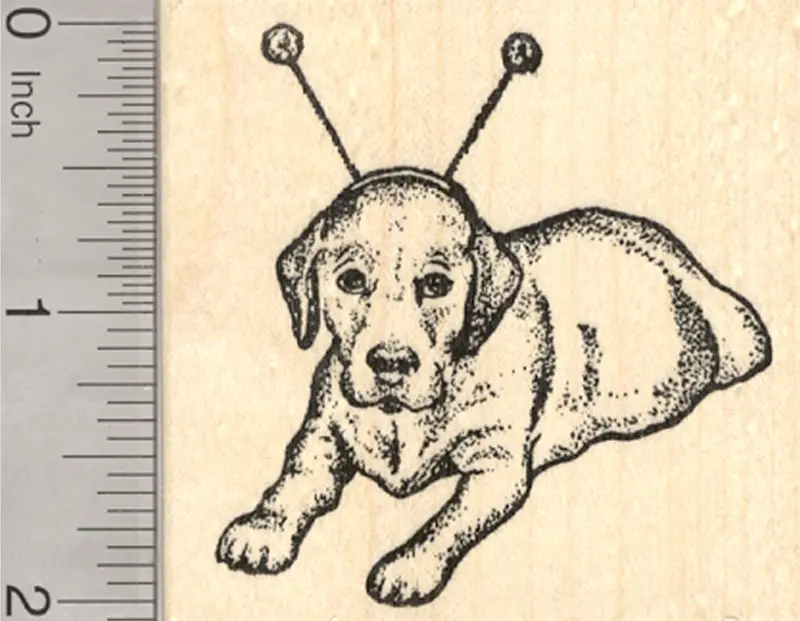 Labrador Retriever Halloween Rubber Stamp With Alien Antenna Design 1