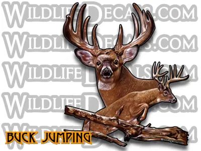 Leaping Whitetail Buck Vinyl Sticker – Outdoor-Grade Decal 1
