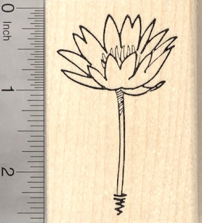 Lotus Blossom Rubber Stamp Inspired By Indian And Vietnamese Botanical Art 1