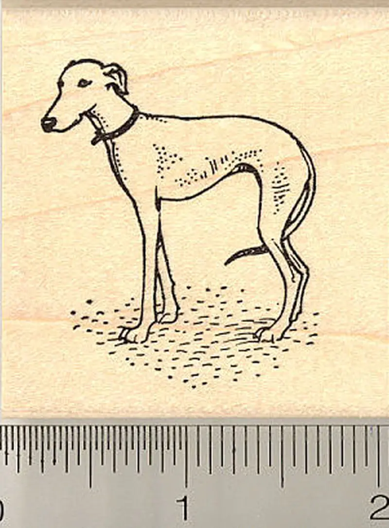 Lurcher Mix Dog Illustration Rubber Stamp 1