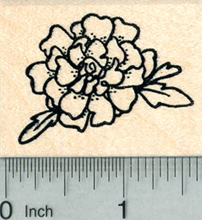 Marigold Flower Rubber Stamp – Vibrant Summer Floral Motif 1