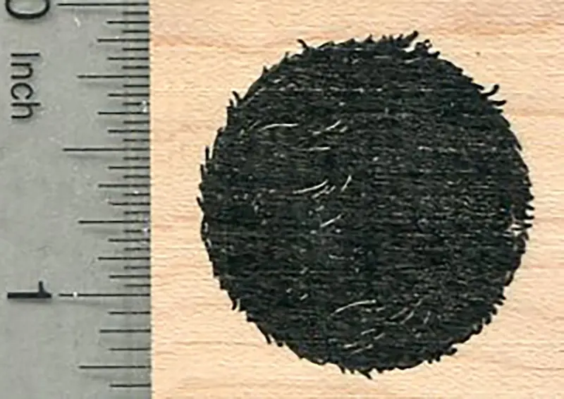 Marimo Moss Ball Rubber Stamp – Japanese Aquatic Plant Design 1