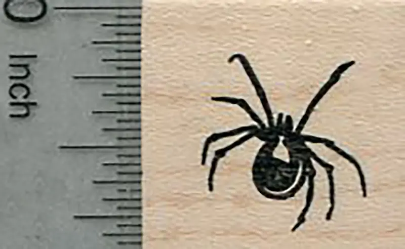 Mini Spider Rubber Stamp — Spooky Halloween Craft Accent 1