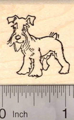 Miniature Schnauzer Rubber Stamp – Realistic Natural Ears Depiction 1