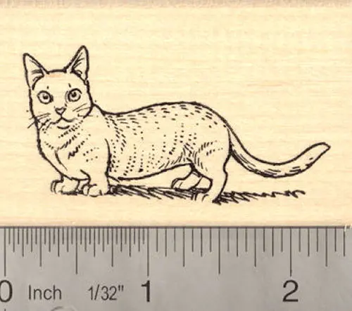 Munchkin Breed Cat Rubber Stamp 1
