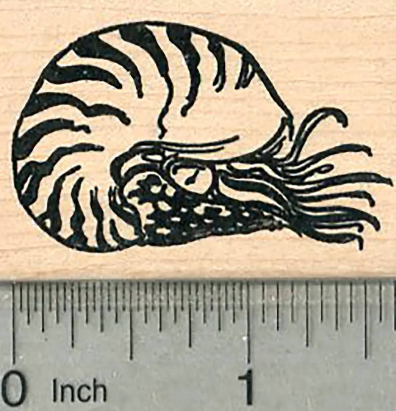 Nautilus Shell Rubber Stamp – Marine Life Motif 1