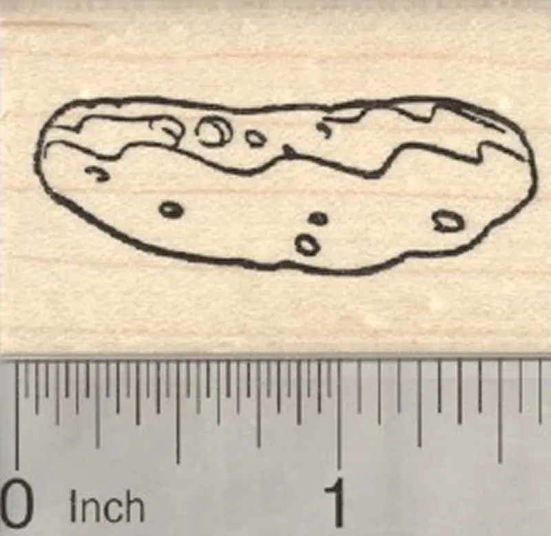 Pickle Rubber Stamp – Cucumber-Based Garden Produce Illustration 1