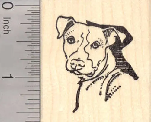 Pitbull Portrait Rubber Stamp – Detailed Front-Facing Canine Illustration 1