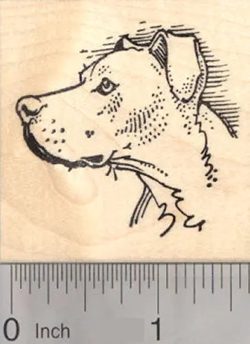 Pitbull Profile Rubber Stamp – Side-View Dog Character Design 1