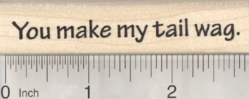 Playful Dog Quote Rubber Stamp: 'You Make My Tail Wag' 1