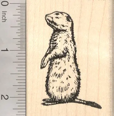 Prairie Dog Animal-Themed Rubber Stamp For Nature Projects 1