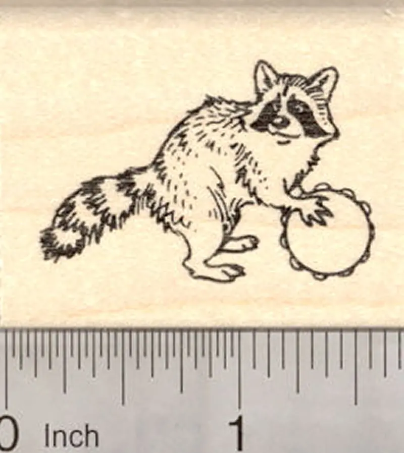 Raccoon Playing Tambourine Band Or Parade Rubber Stamp 1