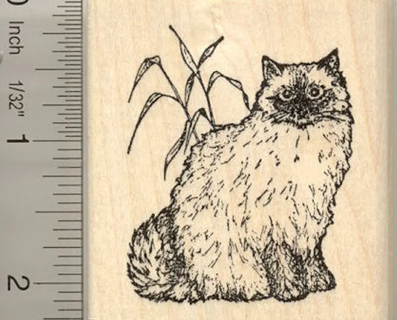 Ragdoll Cat Portrait Rubber Stamp, Fluffy Cashmere-Inspired Design 1